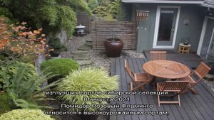 Ландшафтный дизайн маленького участка