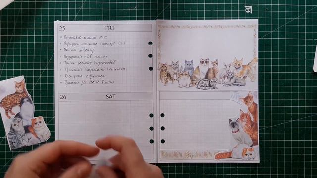 Оформление недели в Filofax. Выставка кошек/Plan with me Filofax Domino A5 смотреть онлайн