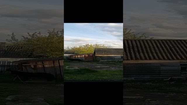 Заходящее солнце необычно освещает лес около деревни