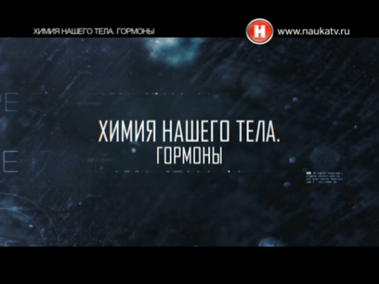 Химия нашего тела. Гормоны