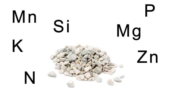 Почвоулучшитель «Цеофлора» 1 литр смотреть онлайн