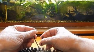 Донный фильтр своими руками. Фальшдно.