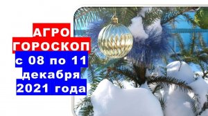 Агрогороскоп с 08 по 11 декабря 2021 года