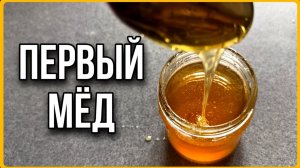 Первые плоды труда на хуторе. Как я качал мёд. #хочувдеревню #мед