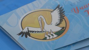 «Учитель года» и «Педагогический дебют» стартовали на Камчатке