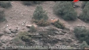 Эдуард Бендерский. Горная охота. Македония. Критский горный козёл