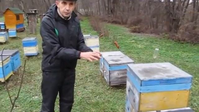 Безсотовая зимовка на закристаллезованном меде. смотреть онлайн