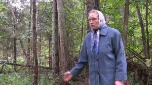 Пореченская Ордынская пустынь