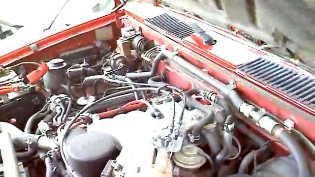 It LIVES! смотреть онлайн