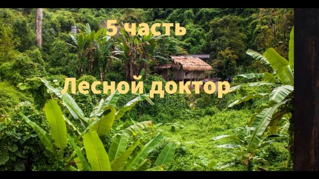 ''Лесной доктор'' - 5 часть - христианская повесть - читает Светлана Гончарова смотреть онлайн