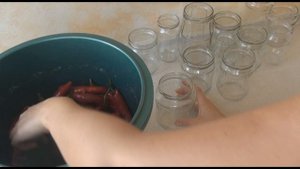 Соленый острый перец на зиму