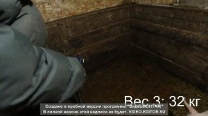 Сколько весят поросята в три месяца(трёхпародка)