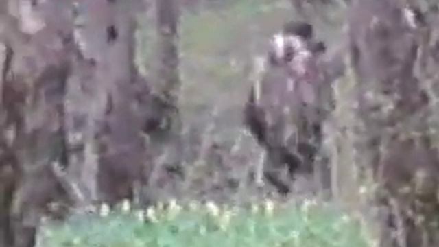 снежный человек на кавказе!! страшно смотреть онлайн