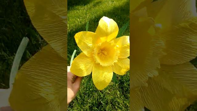 Желтый нарцисс из гафро бумаги