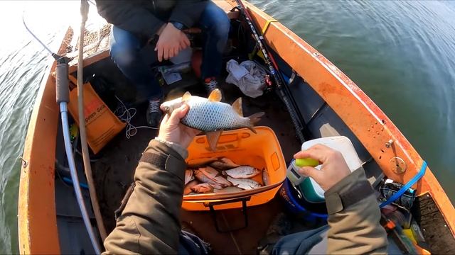 Рекордная плотва с Мейнкуном в лес смотреть онлайн