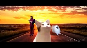 Imagine Dragons - Believer - Cat Pop Cover