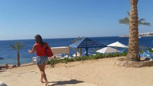 Едем на пляж 9.05.2023.Отель GRAND OASIS RESORT Шарм-эш-Шейх