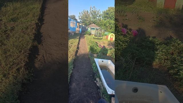тропинка своими руками на дачном участке
 #дачныехлопоты #лето