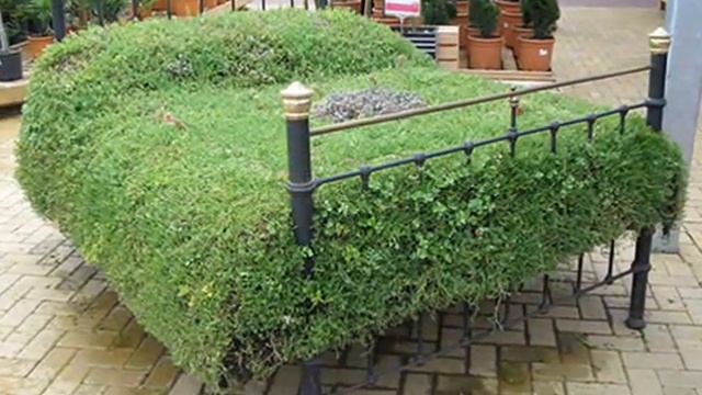 Как сделать клумбу своими руками из старой кровати смотреть онлайн