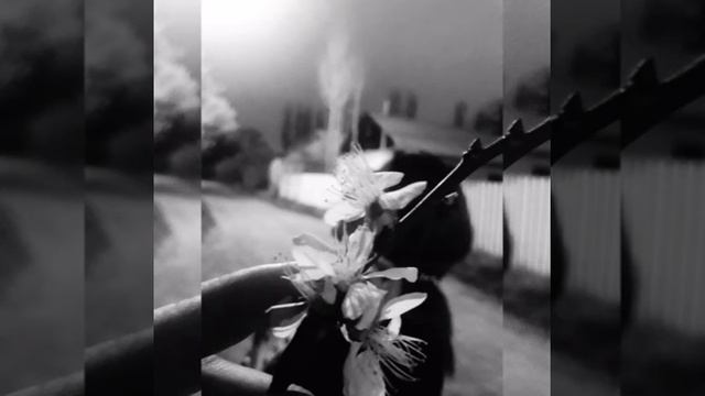 Akris&Teddy - Влюблён смотреть онлайн