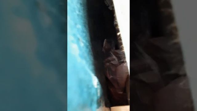 Обыск продолжение смотреть онлайн