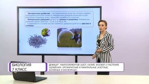 Биология. 7 класс. Дефицит макроэлементов (азот, калий, фосфор) у растений