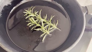 ГОТОВИМ КОСУЛЮ С ОВОЩАМИ ДОМА. Косуля 🦌 в духовке #охота #охотник