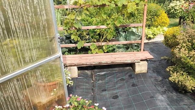 Мини - Огород Маленькая площадь - Большие Возможности ? Как Облегчить и Ускорить Труд на участке. смотреть онлайн