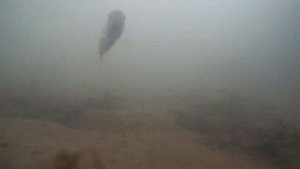 ЭТО НЕВЕРОЯТНО! НАШЕЛ ЯМУ ГДЕ СТОИТ РЫБА! Где искать рыбу зимой на реке??? БОБРОВЫЕ ПЛОТИНЫ РУЛЯТ!