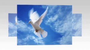 НЕ ЗА РАЗБОЙ И НЕ ЗА ЗЛАТО