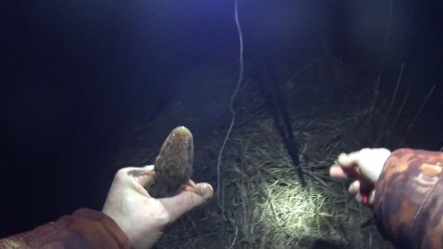 Ловля налима в Латвии.На Рыбалку,для души!!! смотреть онлайн