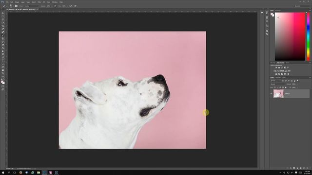 Using Lightroom and Photoshop to remove the color from a portrait background смотреть онлайн
