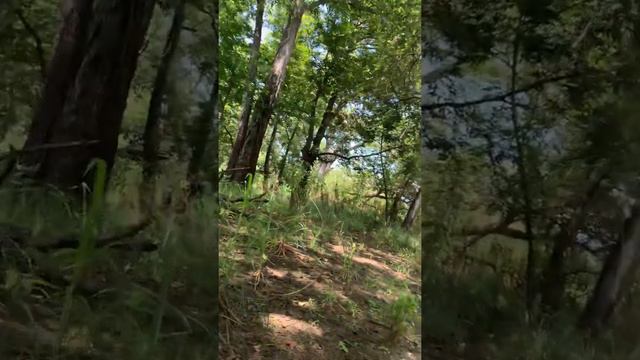 Kachin Song 🎵 Tsaw Ning Len смотреть онлайн