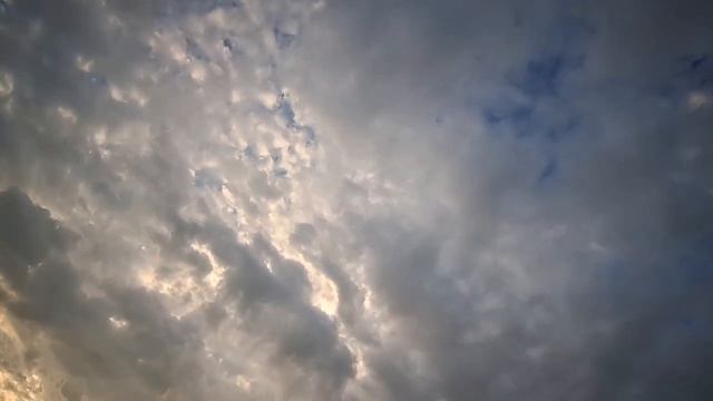 Любви последней лепестки