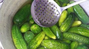САМЫЙ ПРОСТОЙ СПОСОБ ЗАКАТКИ ОГУРЦОВ НА ЗИМУ. "БЛАНШИРОВАННЫЕ ОГУРЦЫ"