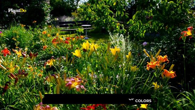 February Gardening: 7 Perennials that Will Make You the Envy of Your Neighborhood 