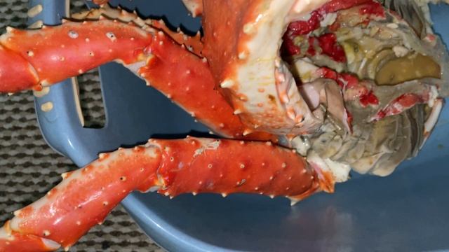 Огромный свежий Камчатский краб в январе. смотреть онлайн