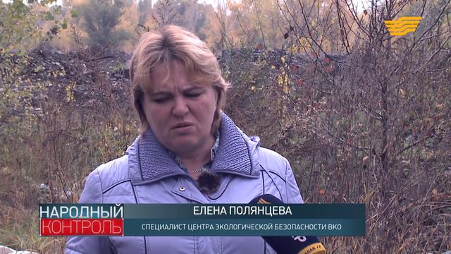 Стихийный скотомогильник может угрожать здоровью жителям Усть-Каменогорска смотреть онлайн