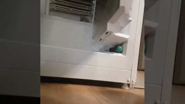 Холодильник Позис RK FNF-172.Не морозит.Замена таймера. смотреть онлайн