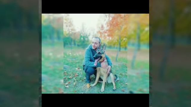 Самые верные и преданные друзья это всё же собаки)