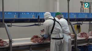 Лучший обвальщик России работает в «ПРОМАГРО»