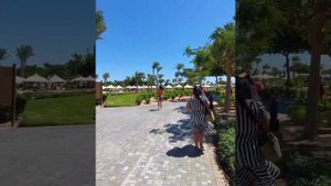 Роскошный отель в #Египте #Steigenberger Al Dau Beach