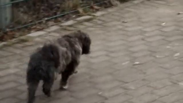 Fujifilm FinePix HS25EXR 80fps/480p Slowmotion Test смотреть онлайн