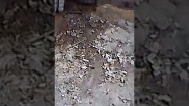 MOV 0000112 строительство +и ремонт домов смотреть онлайн