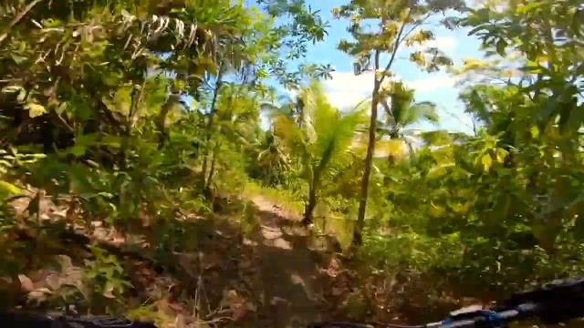 CATMON ENDURO 2 0 1st RUN смотреть онлайн