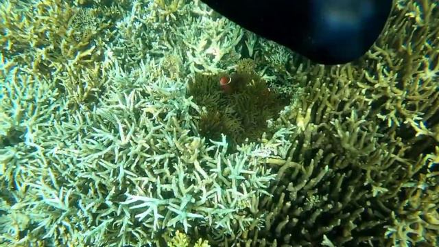 Menjerite Beach - Flores Island смотреть онлайн