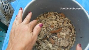 ХЛЕБНАЯ ПОДКОРМКА +ЙОД+СКОРЛУПА ЯИЦ = СУПЕР УДОБРЕНИЕ ВО ВРЕМЯ СОЗРЕВАНИЯ ТОМАТОВ,ОГУРЦОВ,ПЕРЦА...