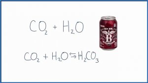 CO2 + H2O  (Carbon dioxide + Water)