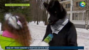 Кто такие фурри? Они не кусаются!