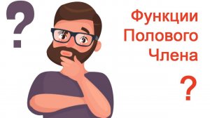 Функции полового члена? / Доктор Черепанов